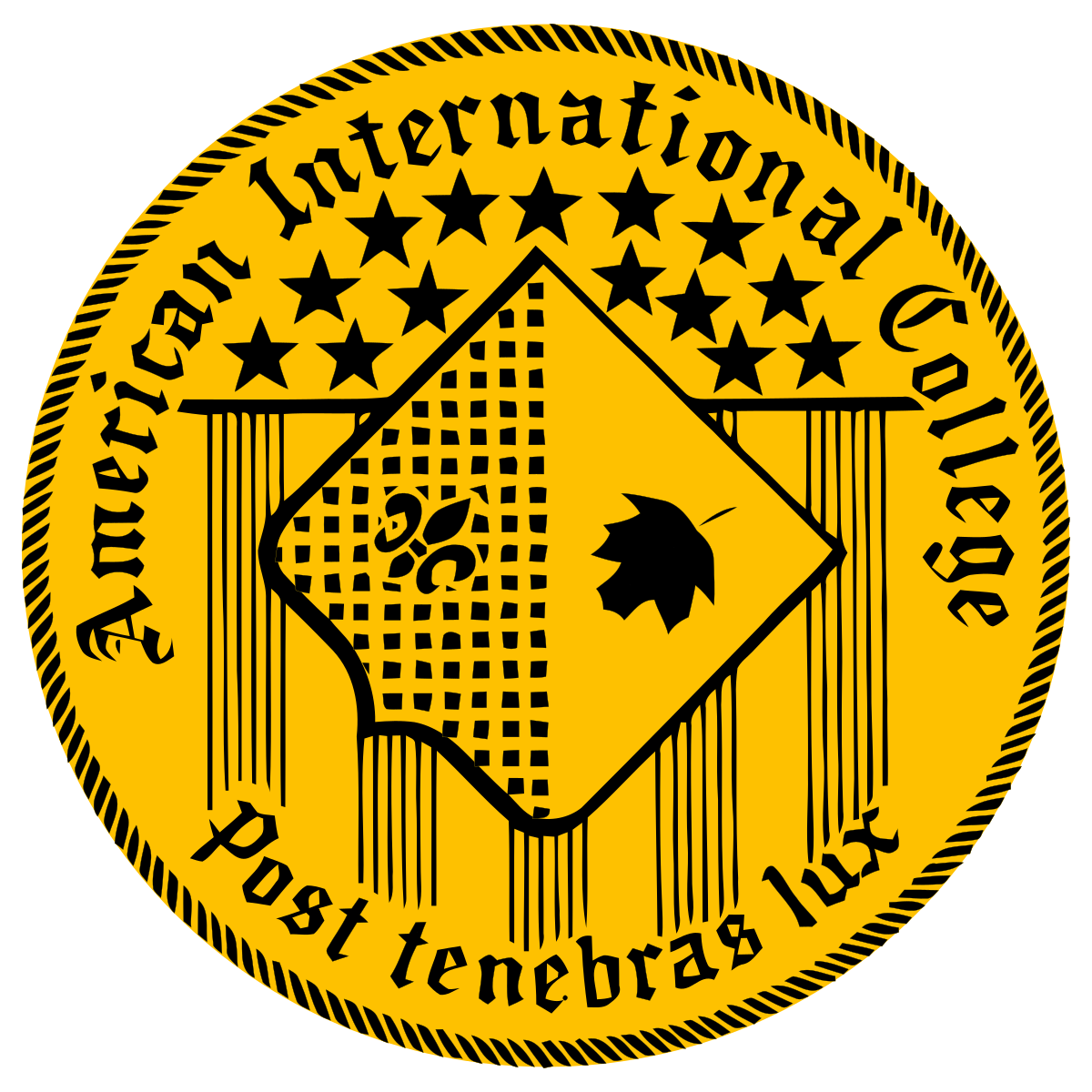 American International College NP program logo