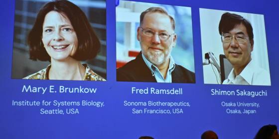 The Nobel Prize in Medicine Goes to 3 Scientists for Work on the Human Immune System