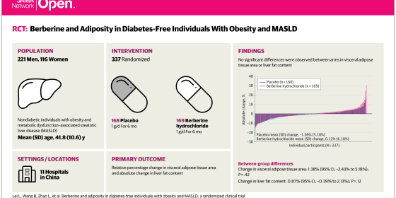 Berberine and Adiposity in Diabetes-Free Individuals with Obesity and MASLD
