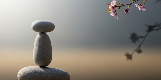 The Silicon Valley Primary Care Doctor Shortage