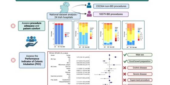 Quality Metrics Reflecting Patient Experience of GI Endoscopy in Inflammatory Bowel Disease: Results of National Endoscopy Dataset Analysis
