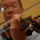 Calvin Lee, MD