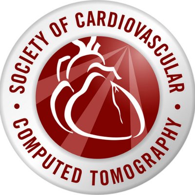 Myocardium in Jeopardy: The Hemodynamic Implications of Stenosis Proximity and Severity on Coronary CTA
