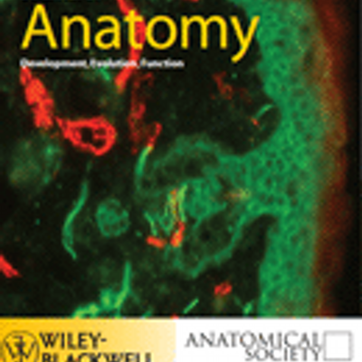 Musculoskeletal Modelling of the Nile Crocodile (Crocodylus Niloticus) Hindlimb: Effects of Limb Posture on Leverage During Terrestrial Locomotion