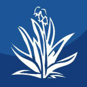 Two Foster School of Medicine Faculty Members Inducted to Alpha Omega Alpha Honor Medical Society