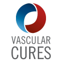 Vascular Cures Spotlight: Wylie Scholar Matthew Corriere