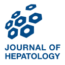 Hepatic Encephalopathy: Novel Insights into Classification, Pathophysiology and Therapy
