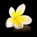 Strategies for Aging Hands (1/2)