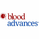 ALK-Negative Anaplastic Large Cell Lymphoma: Features and Outcomes of 235 Patients from the International T-cell Project