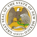 NM State Medical License