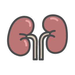 Removal of Small, Asymptomatic Kidney Stones Cuts Relapse Risk