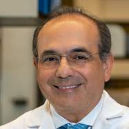 Ali Gharavi, MD, Nephrology, New York, NY