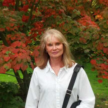Heidi (Dickstein) Worth, MD