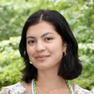 Sara Seyedroudbari, MD, Neurology, Saint Louis, MO