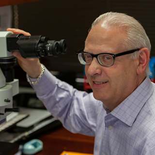 Lester Raff, MD, Pathology, Westchester, IL