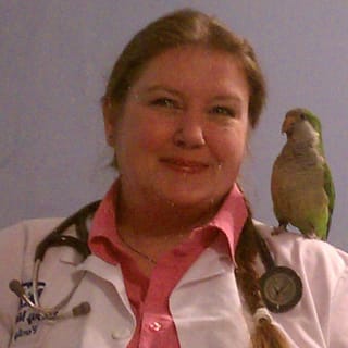 Vicky Mays, DO, Family Medicine, Masontown, WV