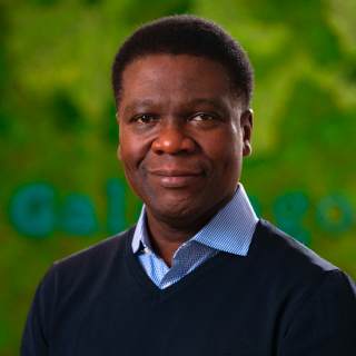 Omotayo Fasan, MD, Hematology, Princeton, NJ