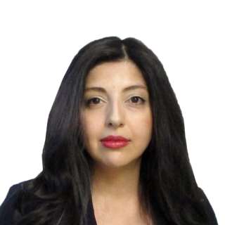 Niloofar Sadeghpour, MD, Other MD/DO, Brooklyn, NY