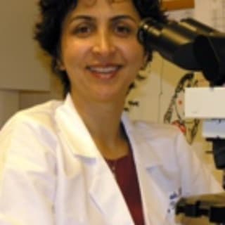Farnaz Hasteh, MD