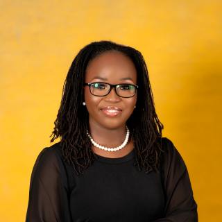 Olaoluwatomi Lamikanra, MD, Internal Medicine, Springfield, IL