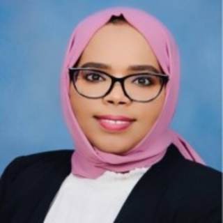 Areeg Ahmed, MD, Other MD/DO, New York, NY
