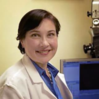 Sarah Stackpole, MD, Otolaryngology (ENT), Bronx, NY