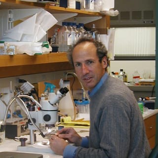 Robert Kalb, MD, Neurology, Chicago, IL, Northwestern Memorial Hospital
